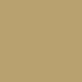 BRA - Brass