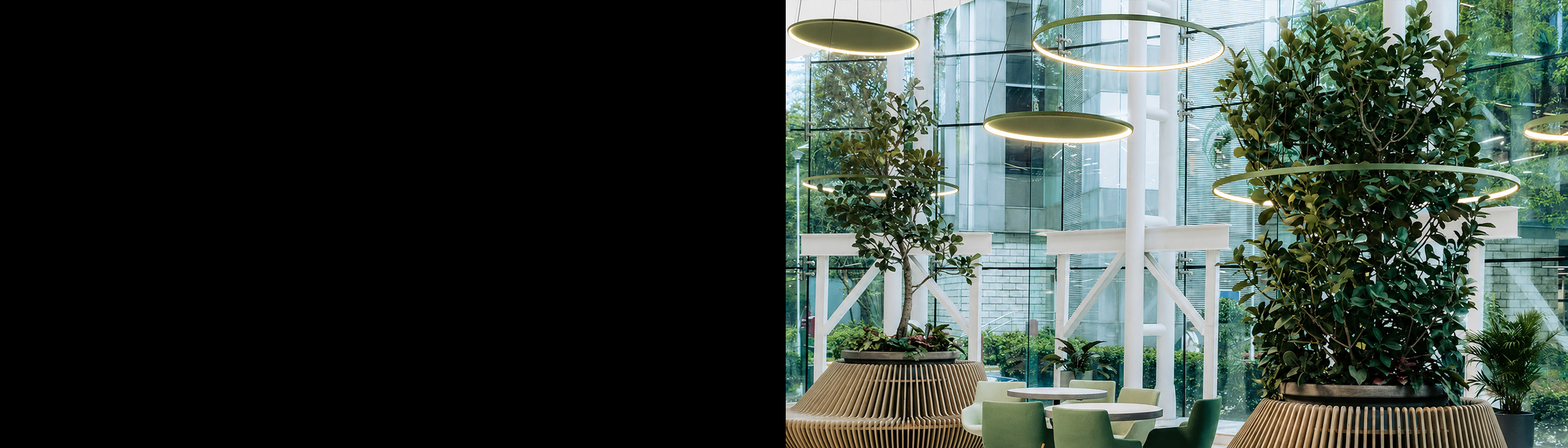 Homepage image