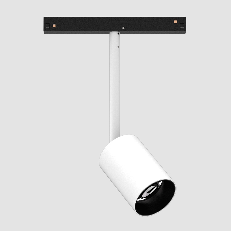 Centriq by Prolicht – 2 3/16″ x 8 13/16″ , Spots offers LED lighting solutions | Zaneen Architectural