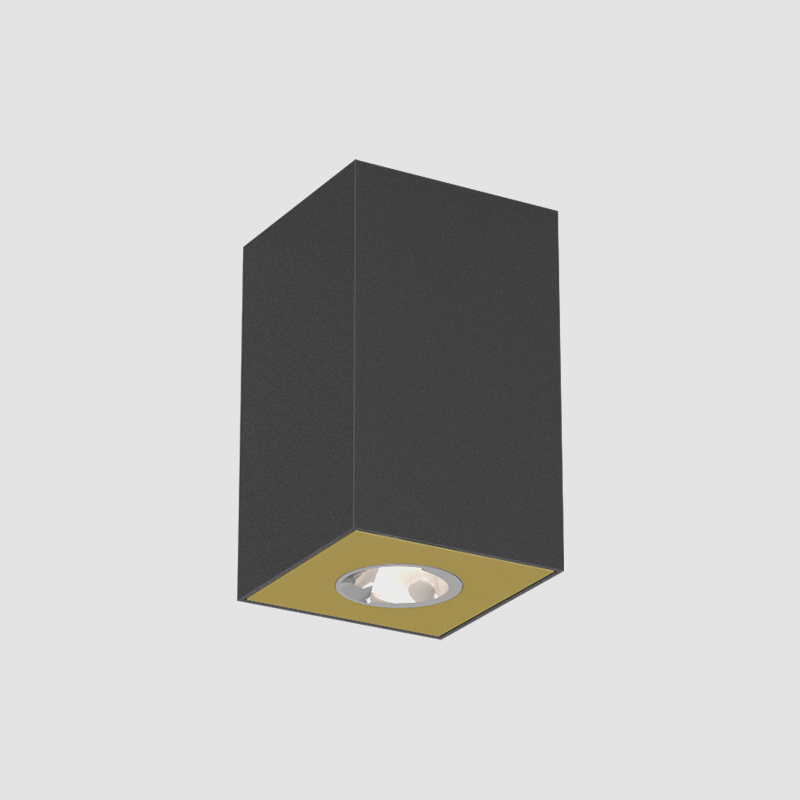 Oiko Pro Square by Prolicht – 2 15/16″ x 4 15/16″ Surface, Downlight offers LED lighting solutions | Zaneen Architectural