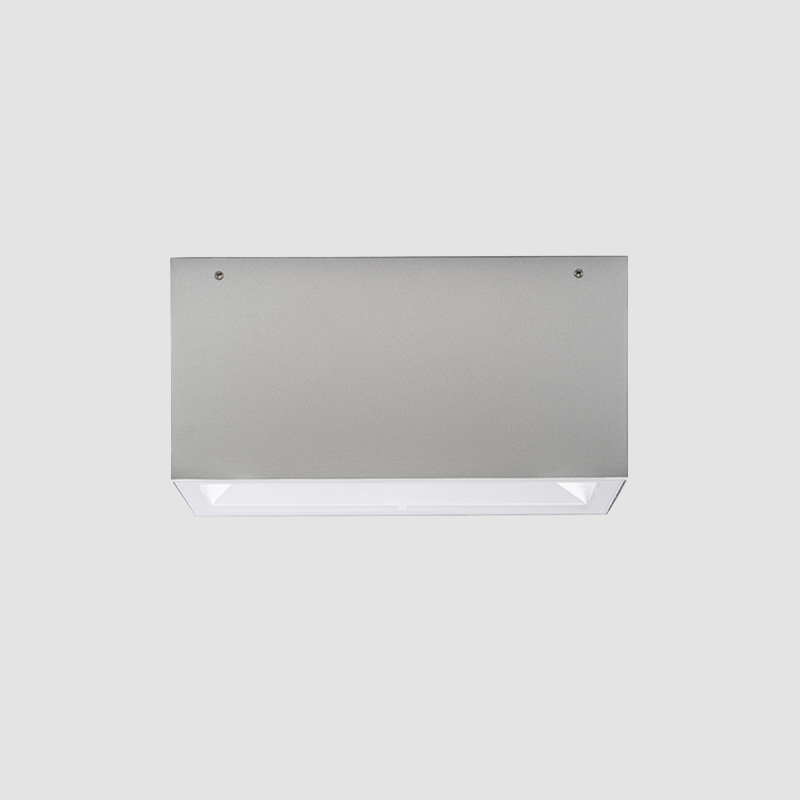 Special by Platek - Exterior surface ceiling mount in classic rectangular shape